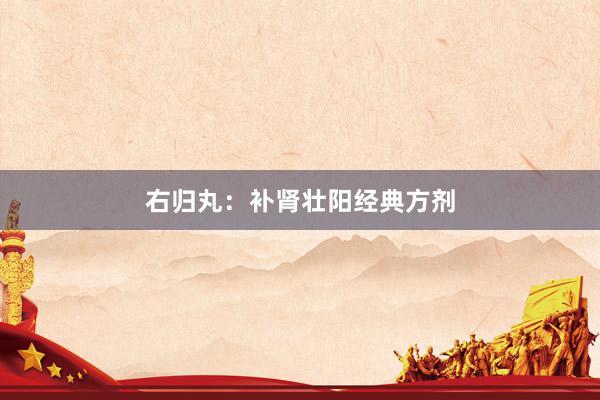 右归丸：补肾壮阳经典方剂
