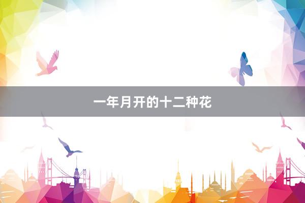 一年月开的十二种花