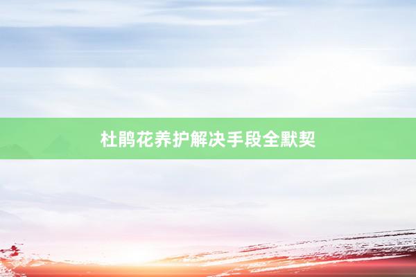 杜鹃花养护解决手段全默契