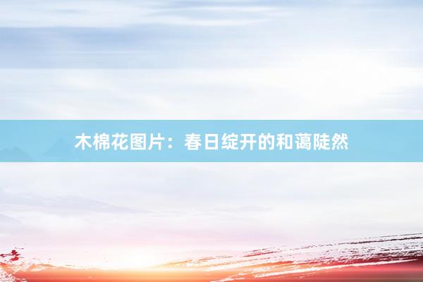 木棉花图片：春日绽开的和蔼陡然